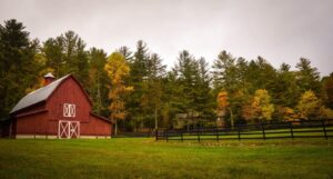 barn surrounded by trees